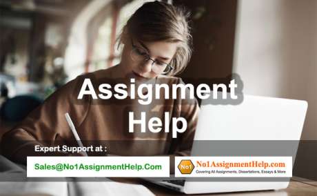 Assignment Help - Avail Cheap Services From No1AssignmentHelp.Com