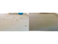 carpet-cleaning-services-adelaide-small-0