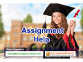 assignment-help-get-tutors-from-no1assignmenthelpcom-small-0