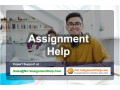 assignment-help-for-students-at-no1assignmenthelpcom-small-0