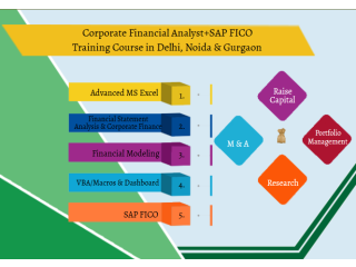 Financial Modelling Training Course in Delhi, 110039. Best Online Live Financial Analyst by IIT Faculty , 100% Job