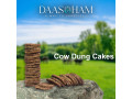cow-gobar-cake-in-india-small-0