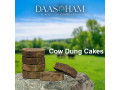 cow-dung-cake-for-agni-homa-in-india-small-0