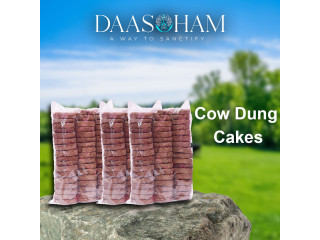 Cow Dung Diya In India