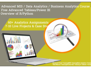 How an Business Analytics Course Can Help You Start Your Own Business in 2025, 100% Job, MIS Course in Delhi,
