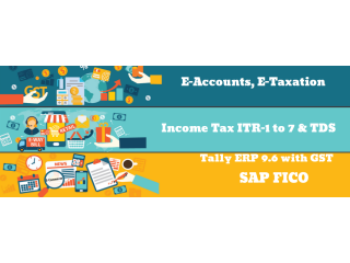 Certified Accounting Course in Delhi, Short-Term GST and Custom Course in Delhi,