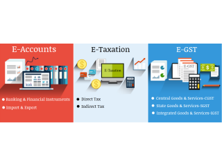 Practical Accounting Course with SAP FICO tools, Best Income Tax and GST Course in Delhi by "SLA Consultants"