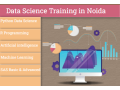 certified-python-data-science-course-online-job-oriented-institute-upskills-with-ai-for-2026-by-sla-consultants-noida-small-0
