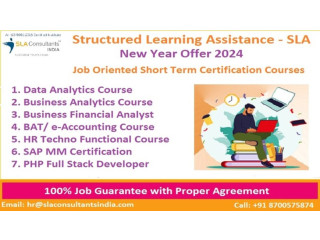 Microsoft MIS Training Course in Delhi, MIS Training in Noida, MIS Institute in Gurgaon, 100% Job[Grow Skill in '24] - SLA Consultants