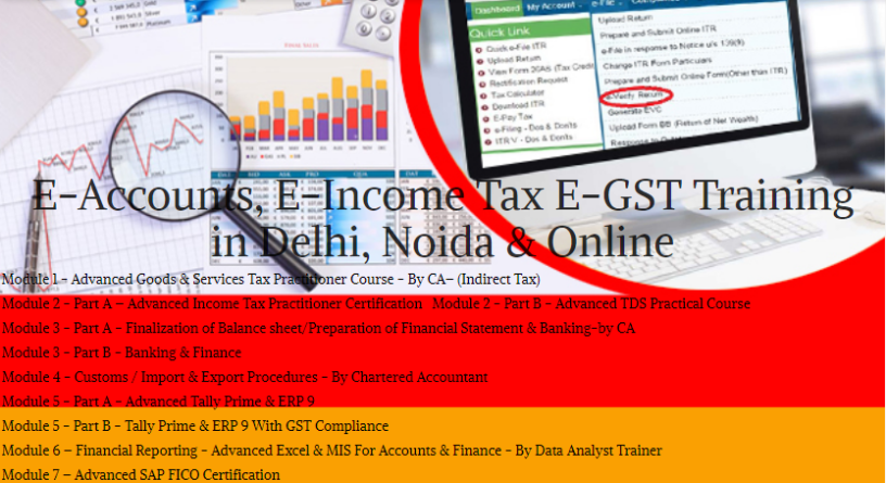 accounting-course-in-delhi-gst-update-2024-by-sla-accounting-institute-taxation-sap-fico-for-100-job-in-hdfc-bank-big-0