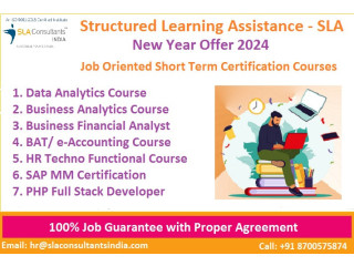 Financial Modeling Training,100% Financial Analyst Job, Salary Upto 6 LPA, SLA, Delhi, Offer 2024,
