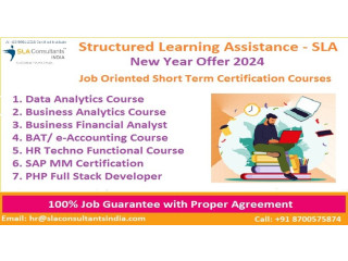 Financial Modeling Course ,100% Financial Analyst Job, Salary Upto 6 LPA, SLA, Delhi, Noida, Ghaziabad.