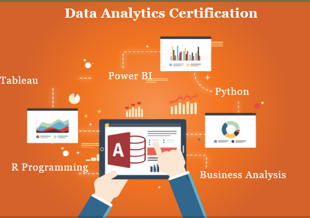 data-analytics-course-in-delhi110045-by-big-4-best-online-data-analyst-by-google-and-ibm-100-job-with-mnc-sla-consultants-india-big-0