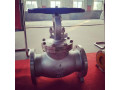 globe-valve-manufacturer-in-india-small-0