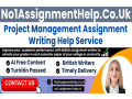 portfolio-management-assignment-help-by-no1assignmenthelpcouk-small-0