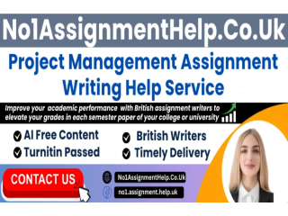 Portfolio Management Assignment Help - by No1AssignmentHelp.Co.UK